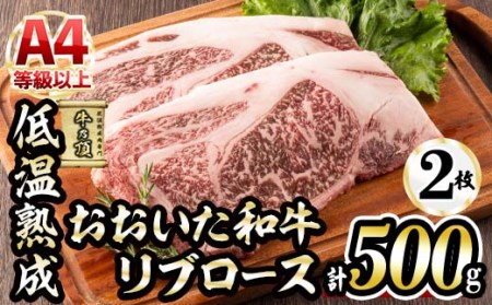 おおいた和牛 リブロースステーキ (計500g・リブロースステーキ約250ｇ×2枚+ステーキソース20g×2袋) 国産 牛肉 肉 霜降り 低温熟成 ステーキ A4 和牛 ブランド牛 BBQ 冷凍 大分県 佐伯市【DH69】【(株)ネクサ】