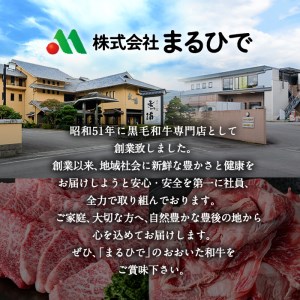 ＜定期便・全6回 (隔月)＞おおいた和牛 定期便 (総量6kg) しゃぶしゃぶ ステーキ 焼肉 すき焼き モモ サーロイン ソース付き ばら ロース ヒレ 小分け 国産 4等級 和牛 牛肉 大分県 佐伯市【DP70】【(株)まるひで】