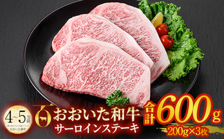 おおいた和牛 サーロインステーキ ソース付き (計600g・200g×3枚) サーロイン ステーキ 国産 4等級 冷凍 和牛 牛肉 大分県 佐伯市【DP78】【 (株)まるひで】