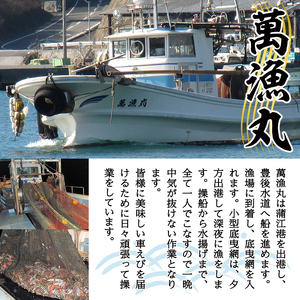 漁師直送! 天然活〆車えび (計500g・250g×2P) 大分県産 【EJ01】【萬漁丸】