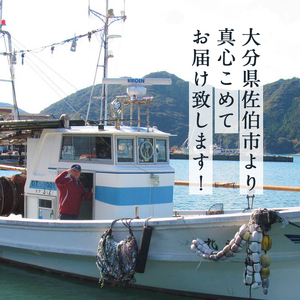 漁師直送! 天然活〆車えび (計500g・250g×2P) 大分県産 【EJ01】【萬漁丸】