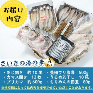 さいきの海の幸Aセット (6種) 鯵 カマス ブリカマ うるめいわし ちりめん 魚 干物 海産物 加工食品 セット 詰め合わせ 大分県 佐伯市【EW014】【(株)Up】