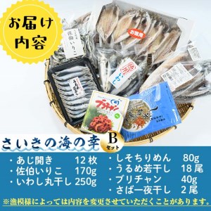 さいきの海の幸Bセット (7種) 鯵 鰯 イワシ 鯖 サバ ちりめん ブリチャン 魚 干物 海産物 韓国料理 加工食品 セット 詰め合わせ 大分県 佐伯市【EW015】【(株)Up】