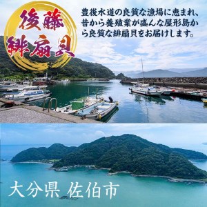 緋扇貝 (計18枚) 海鮮 ヒオウギ貝 BBQ バーベキュー 炭火焼 酒蒸し ご当地 国産 大分県 佐伯市産  屋形島で後藤さんが育てた緋扇貝 大分県 佐伯市【AX61】【後藤緋扇養殖販売】