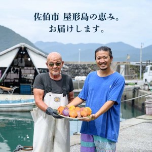 緋扇貝 (計32枚) 海鮮 ヒオウギ貝 BBQ バーベキュー 炭火焼 酒蒸し ご当地 国産 大分県産 佐伯市産  屋形島で後藤さんが育てた緋扇貝 大分県 佐伯市 【AX63】【後藤緋扇養殖販売】