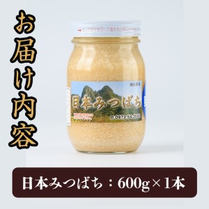 国産 はちみつ (600g) ハチミツ 蜂蜜 ロイヤルゼリー 調味料 スイーツ 多賀さん採蜜 大分県 佐伯市【AY66】【(公財)さいき農林公社】