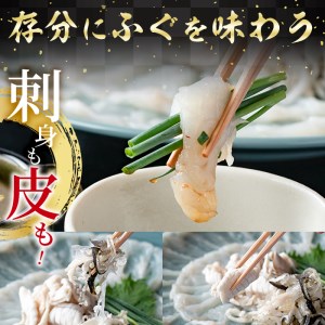 ＜定期便・全12回 (連続)＞ 豊後 とらふぐ 刺身 セット (総量約3.7kg：4-5人前×12回) とらふぐ ふぐ フグ ふぐ刺し フグ刺し ふぐ刺身 フグ刺身 刺身 鮮魚 冷凍 養殖 国産 大分県 佐伯市 【AB199】【柳井商店】