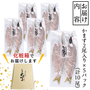 ギフト用品質！九州産ひものかます開き(10尾) 干物 かます カマス 開き 魚 海鮮 冷凍 ひもの 小分け 惣菜 おかず セット ギフト 贈り物 大分県 佐伯市【DH182】【ネクサ】