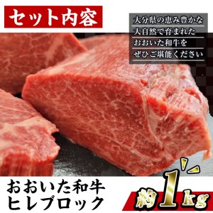 おおいた 和牛 ヒレブロック (約1kg) 国産 ステーキ 牛肉 豊後牛 BBQ バーベキュー 焼肉 ヒレ ヒレ肉 塊肉 惣菜 大分県 佐伯市【BD206】【西日本畜産 (株)】