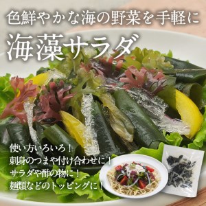  プチマリン (大)と海藻サラダセット (合計8袋・プチマリン500g×5袋 海藻サラダ15g×3袋) 海藻 寒天 ヘルシー ダイエット カロリーオフ サラダ 酢の物 スープ セット 大分県 冷蔵 【CW15】【山忠】