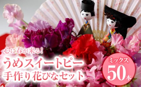 ＜先行予約受付中！2026年2月下旬以降順次発送予定＞＜農家直送＞スイートピー 手作り雛セット (50本・ひな人形) 期間限定 花 切り花 生花 お雛様 ひな人形 九州産 国産 大分県 佐伯市 宇目 清幸農園【BZ65】【清幸農園(有)】 10,220円