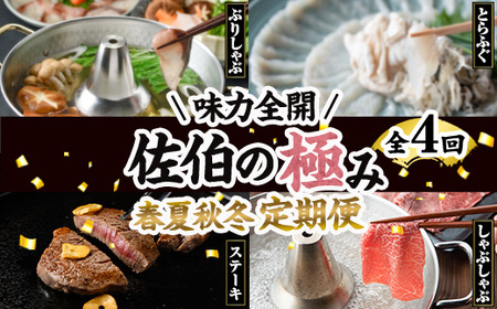 ＜先行予約受付中！2026年1月中旬より配送開始＞＜定期便・全4回＞味力全開！佐伯の極み 冬春定期便(月1回お届け) 鰤 ブリ とらふぐ 刺身 ふぐ 鍋 ステーキ ヒレ サーロイン しゃぶしゃぶ 焼肉 セット 【BR119】【佐伯市ふるさと納税事業者協議会】