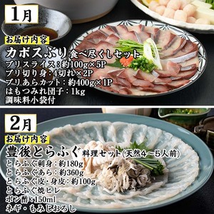 ＜先行予約受付中！2026年1月中旬より配送開始＞＜定期便・全4回＞味力全開！佐伯の極み 冬春定期便(月1回お届け) 鰤 ブリ とらふぐ 刺身 ふぐ 鍋 ステーキ ヒレ サーロイン しゃぶしゃぶ 焼肉 セット 【BR119】【佐伯市ふるさと納税事業者協議会】