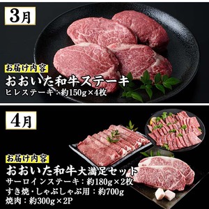 ＜先行予約受付中！2026年1月中旬より配送開始＞＜定期便・全4回＞味力全開！佐伯の極み 冬春定期便(月1回お届け) 鰤 ブリ とらふぐ 刺身 ふぐ 鍋 ステーキ ヒレ サーロイン しゃぶしゃぶ 焼肉 セット 【BR119】【佐伯市ふるさと納税事業者協議会】