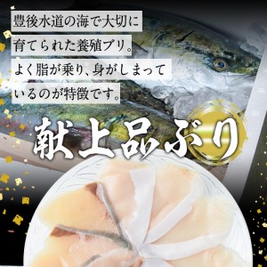 ブリしゃぶ食べ比べセット (合計300g・佐伯産かぼすぶり200g・献上品ぶり100g)【DL21】【鶴見食賓館】