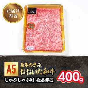 百年の恵み おおいた和牛 A5 しゃぶしゃぶ用 厳選部位 (400g) 国産 牛肉 肉 霜降り ロース 肩ロース もも 肩 和牛 ブランド牛 しゃぶしゃぶ 冷凍 大分県 佐伯市 【FS04】【 (株)トキハインダストリー】