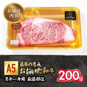 百年の恵み おおいた和牛 A5 ステーキ用 厳選部位 (200g) 国産 牛肉 肉 霜降り ロース 肩ロース サーロイン 和牛 ブランド牛 ステーキ 冷凍 大分県 佐伯市 【FS06】【 (株)トキハインダストリー】