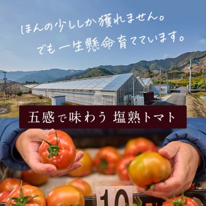 ＜先行予約受付中！2025年4月より順次発送予定＞塩熟トマト KitachiRosso (計600g) 糖度10度以上 塩トマト 塩とまと とまと トマト 野菜 大分県 佐伯市 九州産 国産 お取り寄せ 大分県 佐伯市【AK6i】【げんきファーム】