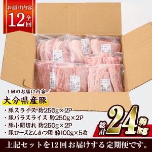 ＜定期便・全12回 (連続)＞豚肉 バラエティーパック (総量24kg・4種) 小分け 豚バラ スライス とんかつ ロース 豚こま しゃぶしゃぶ 鍋 大分県 佐伯市【BD210】【西日本畜産 (株)】