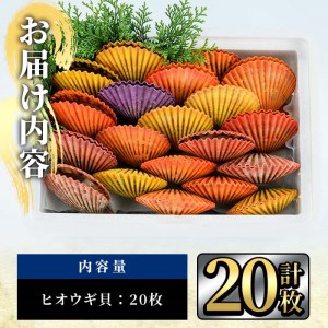 ヒオウギ貝 (20枚) 魚介 貝 ヒオウギ貝 ひおうぎ貝 酒蒸し 網焼き バター焼き バーベキュー 獲れたて 冷蔵 海の直売所 大分県 佐伯市【AS118】【海べ (株)】