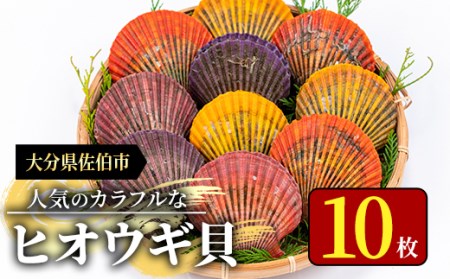 ヒオウギ貝 (10枚) 魚介 貝 ヒオウギ貝 ひおうぎ貝 酒蒸し 網焼き バター焼き バーベキュー 冷蔵 海の直売所 大分県 佐伯市【AS119】【海べ (株)】