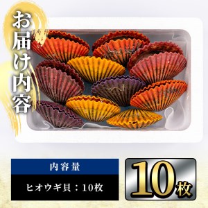 ヒオウギ貝 (10枚) 魚介 貝 ヒオウギ貝 ひおうぎ貝 酒蒸し 網焼き バター焼き バーベキュー 冷蔵 海の直売所 大分県 佐伯市【AS119】【海べ (株)】