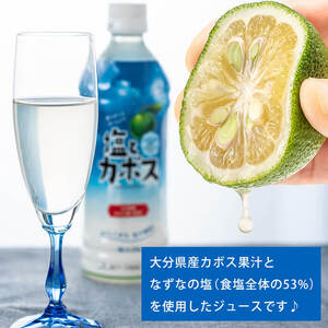 塩とカボス (495ml×24本) かぼす ドリンク ジュース かぼす カボス 塩 食塩 ノンアルコール ペットボトル 大分県産 特産品 家庭用 大分県 佐伯市【HD184】【さいき本舗 城下堂】