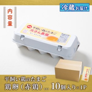 ＜お試し用＞ 平飼い赤鶏のたまご (計10個) 元さん農園 卵 玉子 卵かけご飯 玉子焼き 平飼い 鶏 鶏卵 養鶏場直送送 朝採れ 新鮮 大分県 佐伯市 【GE002】【 (株)海九】