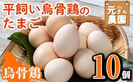 平飼い烏骨鶏のたまご (計10個) 元さん農園 卵 玉子 卵かけご飯 玉子