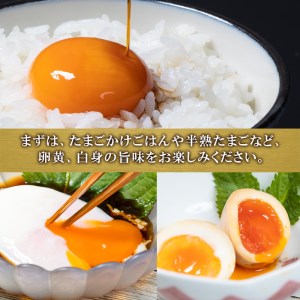 平飼い烏骨鶏のたまご (計10個) 元さん農園 卵 玉子 卵かけご飯