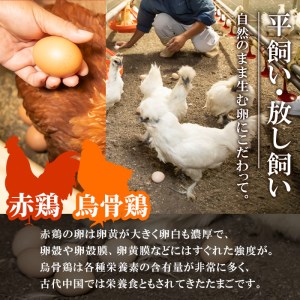 平飼い鶏のたまごセット (合計20個・烏骨鶏たまご10個・赤鶏たまご10個) 元さん農園 卵 玉子 卵かけご飯 玉子焼き 平飼い 鶏 鶏卵 養鶏場直送  朝採れ 新鮮 大分県 佐伯市 【GE004】【 (株)海九】 | 大分県佐伯市 | ふるさと納税サイト「ふるなび」