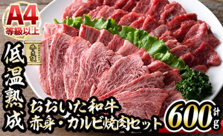 おおいた和牛 特選 焼肉 セット (合計600g・赤身300g+カルビ300g) 国産 牛肉 肉 霜降り 低温熟成 A4 和牛 ブランド牛 カルビ BBQ 冷凍 大分県 佐伯市【DH214】【(株)ネクサ】