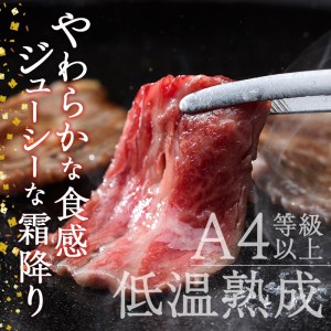 おおいた和牛 特選 焼肉 セット (合計600g・赤身300g+カルビ300g) 国産 牛肉 肉 霜降り 低温熟成 A4 和牛 ブランド牛 カルビ BBQ 冷凍 大分県 佐伯市【DH214】【(株)ネクサ】