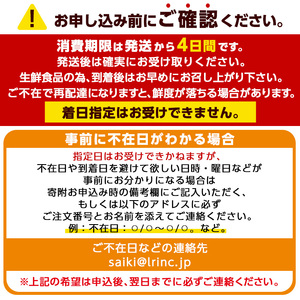 ＜期間限定＞ 大分県産 伊勢海老 (計1kg・約2～5尾)【AS128】【海べ (株)】