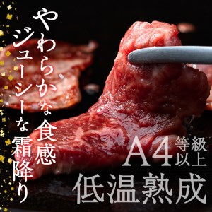 おおいた和牛A4ランク以上！赤身焼肉セット3種【DH234】【(株)ネクサ】