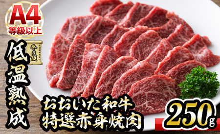 おおいた和牛 特選 赤身 焼肉 (250g) 国産 牛肉 肉 霜降り 低温熟成 ミスジ サンカク A4 和牛 ブランド牛 BBQ 冷凍 大分県 佐伯市【DH239】【(株)ネクサ】