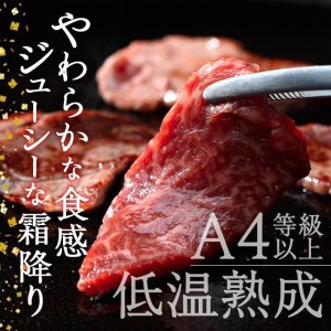 おおいた和牛 特選 赤身 焼肉 (250g) 国産 牛肉 肉 霜降り 低温熟成 ミスジ サンカク A4 和牛 ブランド牛 BBQ 冷凍 大分県 佐伯市【DH239】【(株)ネクサ】