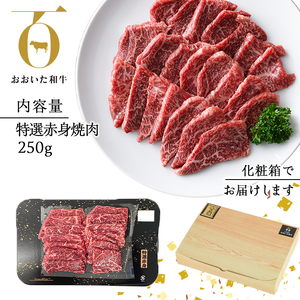 おおいた和牛 特選 赤身 焼肉 (250g) 国産 牛肉 肉 霜降り 低温熟成 ミスジ サンカク A4 和牛 ブランド牛 BBQ 冷凍 大分県 佐伯市【DH239】【(株)ネクサ】