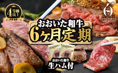 ＜定期便・全6回(連続)＞豊後牛・おおいた和牛定期便(総量2.4kg) 牛肉 国産 和牛 焼肉 切り落とし ヒレ ヒレ肉 ステーキ ロース すき焼き しゃぶしゃぶ 大分県 佐伯市 【FW015】【ミートクレスト】