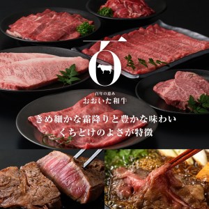 ＜定期便・全6回(連続)＞豊後牛・おおいた和牛定期便(総量2.4kg) 牛肉 国産 和牛 焼肉 切り落とし ヒレ ヒレ肉 ステーキ ロース すき焼き しゃぶしゃぶ 大分県 佐伯市 【FW015】【ミートクレスト】