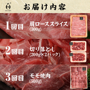 ＜定期便・全6回(連続)＞豊後牛・おおいた和牛定期便(総量2.4kg) 牛肉 国産 和牛 焼肉 切り落とし ヒレ ヒレ肉 ステーキ ロース すき焼き しゃぶしゃぶ 大分県 佐伯市 【FW015】【ミートクレスト】