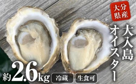 真ガキ 大入島オイスター (約2.6kg) 牡蠣 カキ 貝 海鮮 魚介類 冷蔵 生食可 シングルシード 養殖 大分県 佐伯市【ED09】【(合)新栄丸】