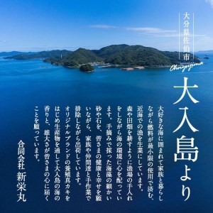 真ガキ 大入島オイスター (約2.6kg) 牡蠣 カキ 貝 海鮮 魚介類 冷蔵 生食可 シングルシード 養殖 大分県 佐伯市【ED09】【(合)新栄丸】