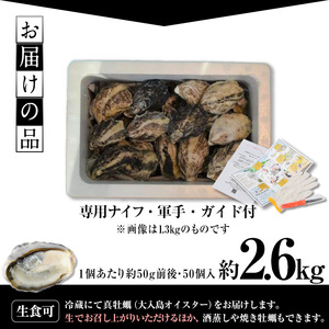 真ガキ 大入島オイスター (約2.6kg) 牡蠣 カキ 貝 海鮮 魚介類 冷蔵 生食可 シングルシード 養殖 大分県 佐伯市【ED09】【(合)新栄丸】