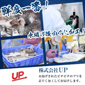 ＜期間限定＞かぼすブリ フィーレ (約1kg) 鰤 ブリ フィーレ 半身 魚 魚介類 養殖 大分県産 大分県 佐伯市【EW032】【(株)Up】