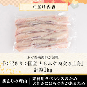 <訳あり・業務用>とらふぐ 身欠き上身 (計約1kg) 極みフグ 冷凍 ふぐ ふぐ鍋 焼ふぐ 唐揚げ てっちり鍋 お取り寄せ 鮮魚 養殖 国産 大分県 佐伯市【DK16】【(有)エイコー水産】