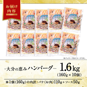 佐伯市の「なずなの塩」使用 !大分の恵みハンバーグ (計約1.6kg・160g×10個) ハンバーグ 冷凍ハンバーグ 合い挽き 小分け 個包装 簡単 湯せん 温めるだけ 冷凍 レトルト おかず 惣菜 【DT05】【全国農業協同組合連合会大分県本部】