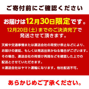 ＜12/30着限定＞神経締めでまるごと1本お届け！美人鰤 (1本・約5kg) 美人ブリ 美人鰤 ぶり ブリ 鰤 神経締め ブランド魚 獲れたて 鮮魚 まるごと 冷蔵 海の直売所 大分県 佐伯市＜離島配送不可＞【AS130】【海べ】