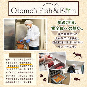 犬用 鹿肉ジャーキー (計150g・50g×3) 完全 無添加 ペットフード ドッグフード ペット ジビエ セミモイストタイプ 高たんぱく 低カロリー  ヘルシー 鉄分 小型犬 シニア犬【GL003】【オートモズフィッシュアンドファーム】