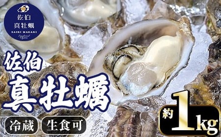 佐伯真牡蠣 鶴見産 (約1kg) 牡蠣 カキ 新鮮 小分け 生牡蠣 生カキ カキフライ 鍋【生食可】【EW061】【Up】